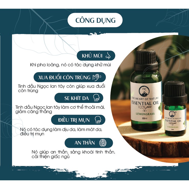 Combo tinh dầu PK lavender và tinh dầu ngọc lan tây trọn vẹn cách làm đẹp (10ml/chai)