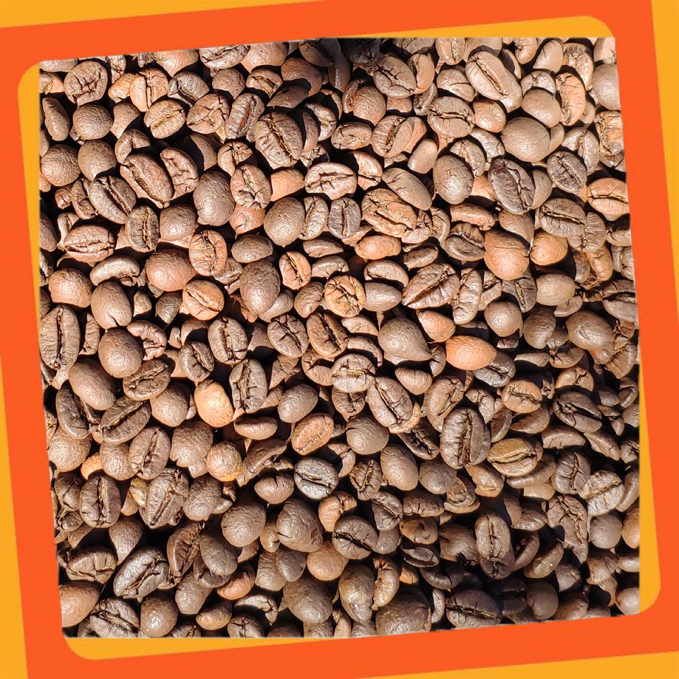 2KG ☢️ Cà Phê Robusta Gia Lai 💯 Cafe Rang Mộc Nguyên Chất