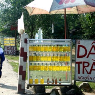 Combo 2 chai Dầu tràm Huế nguyên chất 100%