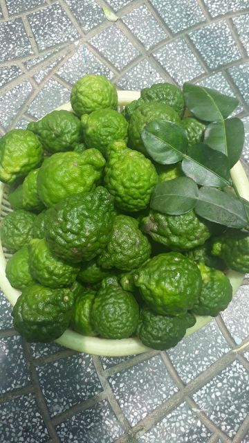 TRÁI CHÚC, CHÚC AN GIANG, TRÚC, TRÁI CHANH THÁI