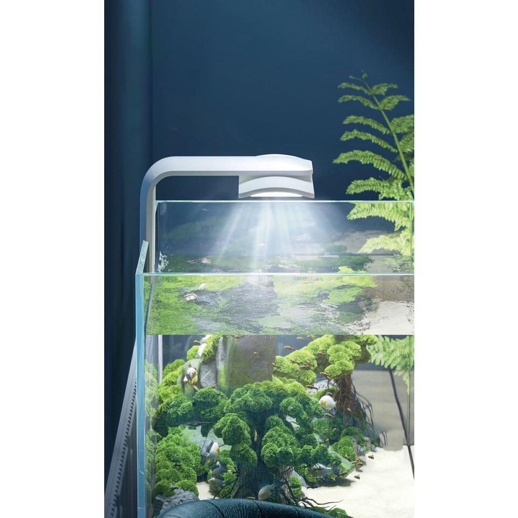 Đèn Led Kẹp Hồ Cá Xoay 90 Độ JENECA - Kiểu Dáng Đẹp, Giúp Hồ Cá Bạn Tỏa Sáng