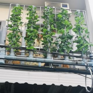 Máy trồng rau sạch tại nhà khí canh Ero-Farm dòng I