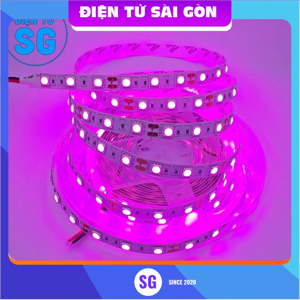 Led dây 5050 12V loại 1 mét 60 bóng không phủ epoxy màu xanh dương / màu hồng tím