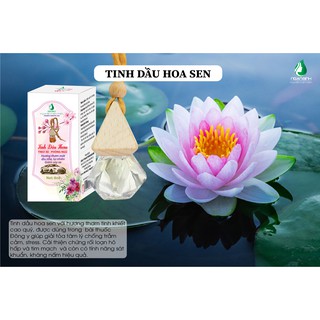 Tinh dầu Thơm Ngân Bình [Tinh dầu treo xe,phòng ngủ,wc,...]