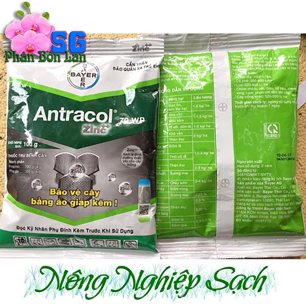 Antracol 70WP – thuốc trừ nấm bổ sung vi lượng kẽm Gói 100g Bảo vệ cây bằng áo giáp kẽm