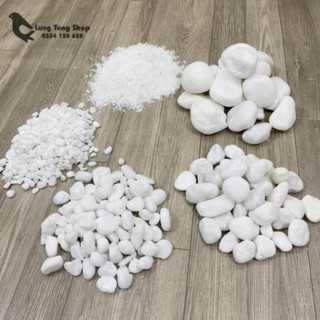 [ Nhiều size ] Đá sỏi trắng trang trí ( chọn size )