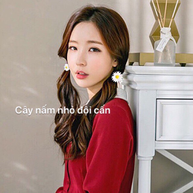 Kẹp-buộc hình cúc hoạ mi [CỰC HOT]