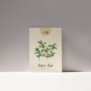 Hạt giống non-GMO - Bạc Hà | non-GMO seed Mint