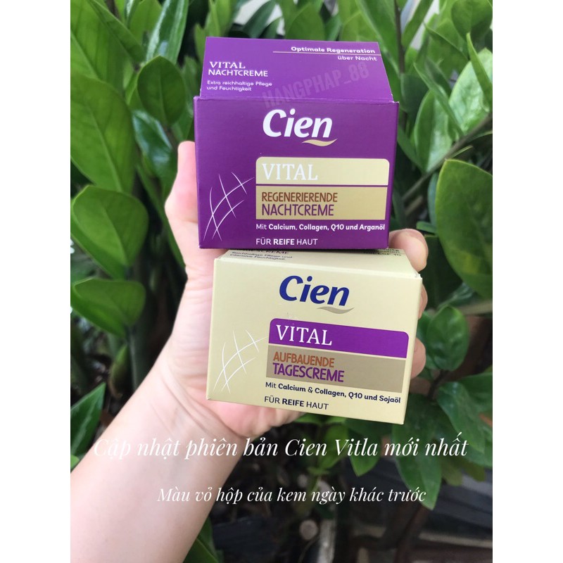 KEM DƯỠNG CIEN Q10 NGÀY VÀ ĐÊM CHỐNG LẠI CÁC DẤU HIỆU LÃO HÓA_BILL PHÁP | BigBuy360 - bigbuy360.vn