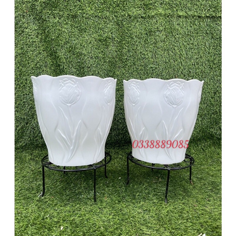 Chậu trồng cây hoa Tu líp, trồng cây, decor siêu đẹp,ảnh thật