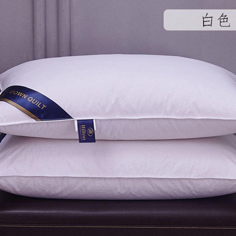 1 Áo Gối In Họa Tiết Thời Trang
