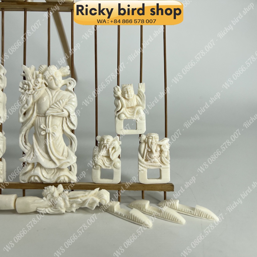 Bone set for Puteh bird cage - 8 Immortal design - Phụ kiện chim Ricky bird shop