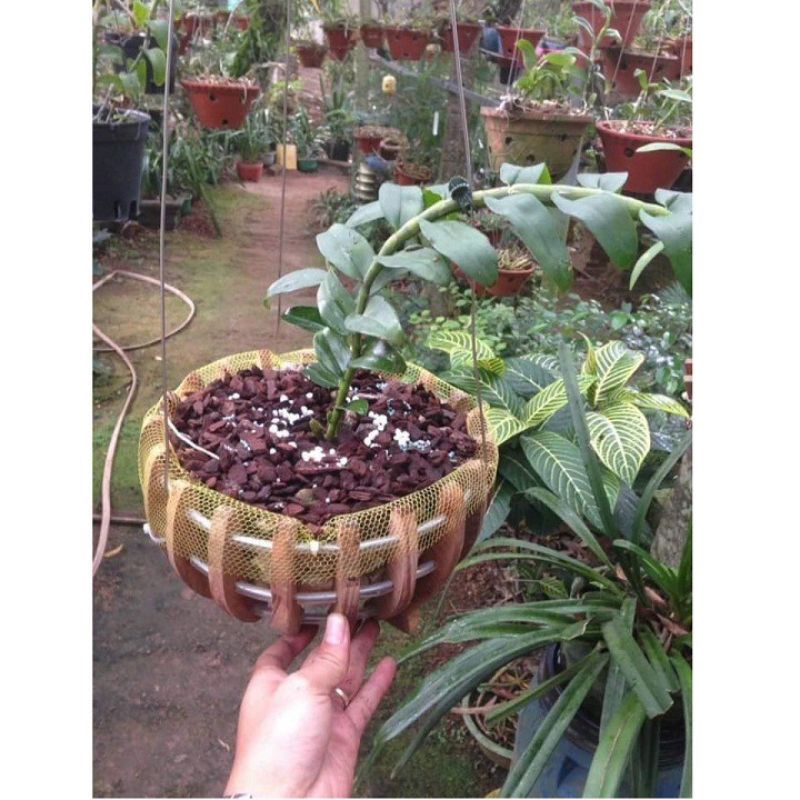 Túi lưới lót chậu lan dài 40cm