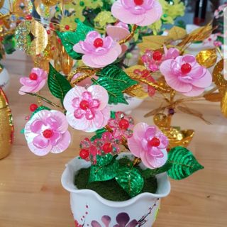 Bộ sản phẩm làm cây đào 50k