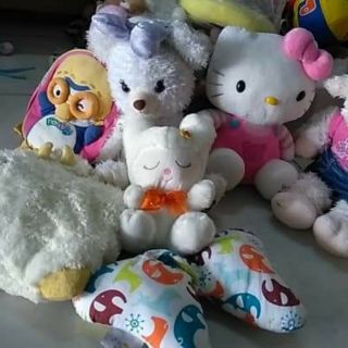 Gấu bông cẩm tú nguyên