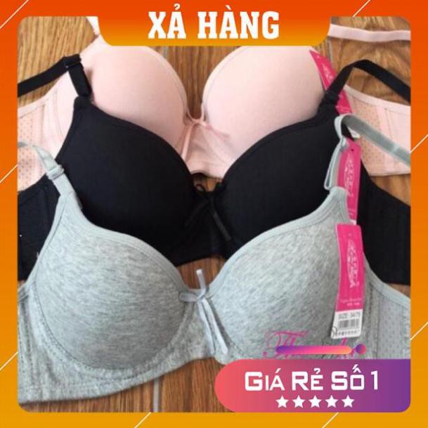 [Giá huỷ diệt] Áo Lót Cotton 613 Đệm Mỏng Siêu Đẩy | BigBuy360 - bigbuy360.vn