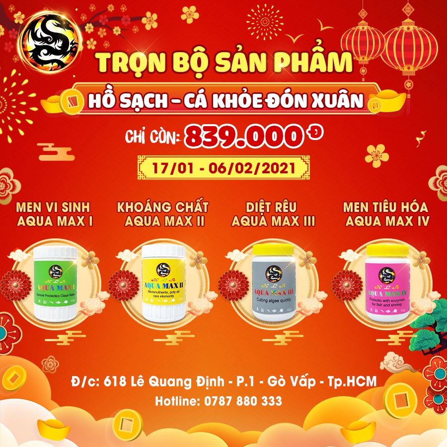 [Mã 155FMCGSALE giảm 7% - tối đa 100K đơn 500K] Men Tiêu Hóa Cho Cá Cảnh Aqua Max IV Hỗ Trợ Hệ Tiêu Hoá Giúp Cá Ăn Sung