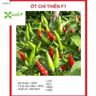 Hạt giống ớt chỉ thiên siêu cay 20 hạt