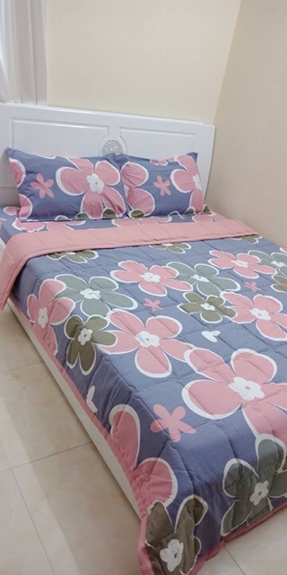 Ga chun  + 2 vỏ gối đầu cotton đũi m6 m8 | BigBuy360 - bigbuy360.vn