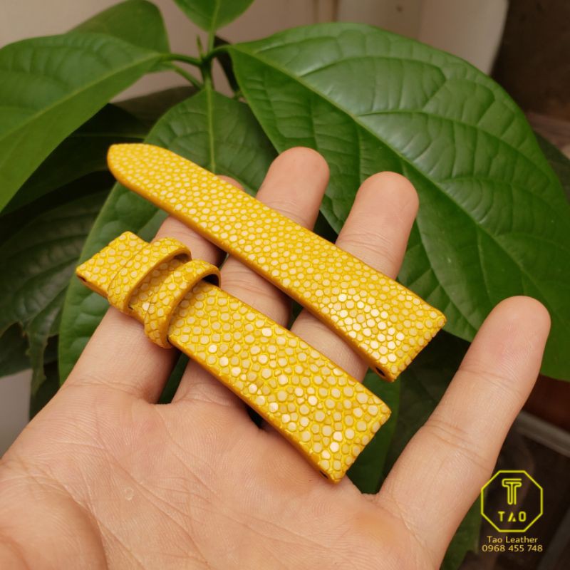 Dây đồng hồ da cá đuối