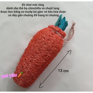 Cà rốt mài răng đồ chơi cho các bé thỏ bọ hamster 🦫🐁🐻