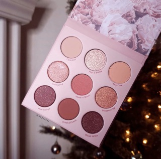 [Bill Colourpop] Bảng mắt Colourpop 9 ô Blush Crush
