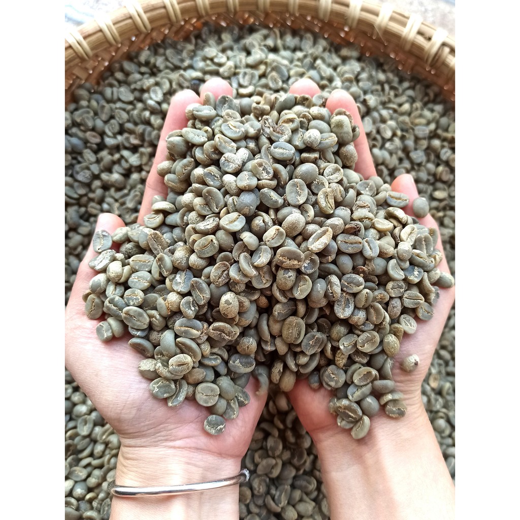 Cà phê Arabica Cầu Đất [500g/ 1 túi] - 100% Cà phê mộc rang xay nguyên chất - TBCAFE | BigBuy360 - bigbuy360.vn