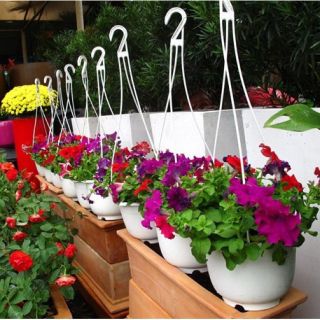 Chậu treo xỏ nhỏ cao cấp 17cm x11cm