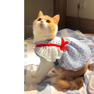 Đầm Nơ Xinh Xắn Cho Thú Cưng