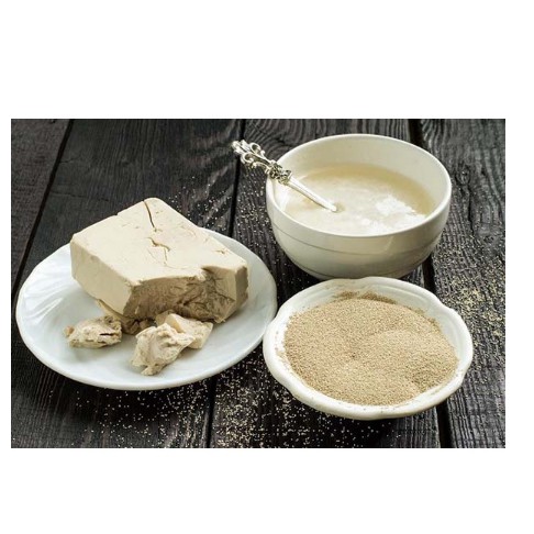 Men khô ngọt Mauripan Insrant Dry Yeast 500g (chuột vàng), men khô dùng liền làm bánh mì, bánh ngọt, bánh bao