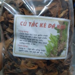 Cây Tắc Kè Đá - Cốt Toái Bổ
