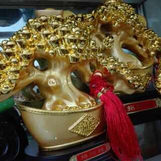 Cây chiêu tài, cây tài lộc