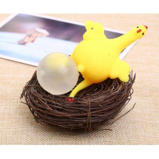COMBO 2 GÀ ĐẺ TRỨNG BIẾN THÁI