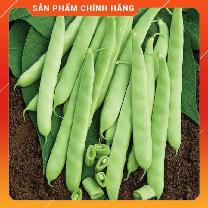 HẠT GIỐNG ĐẬU COVE LEO CAO SẢN - 50gam