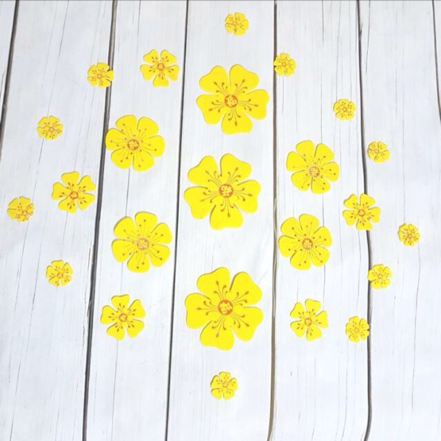 9 bông hoa mai xốp dán tường dán kính
