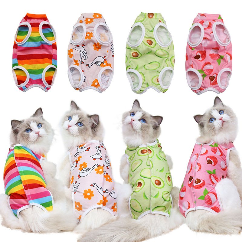 Quần áo thú cưng thời trang cho mèo size lớn nhỏ mặc mùa hè giá rẻ CANDYPETS