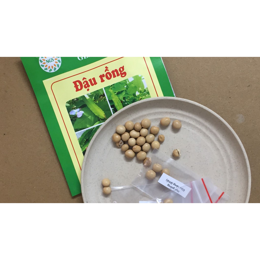 Hạt giống đậu rồng (đậu khế) cao sản - Gói 25-30 hạt