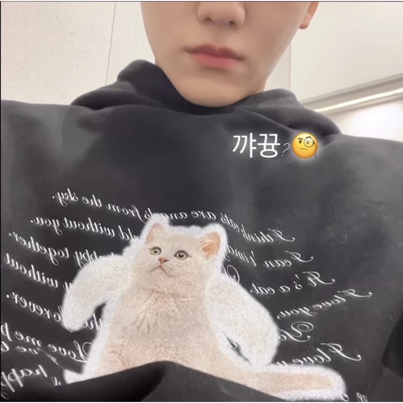 Áo hoodie mèo cheap mmt Jeno Jaemin | BigBuy360 - bigbuy360.vn