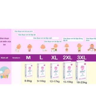 50 bỉm quần nanu M/L/XL/XXL/XXXL