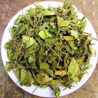 Dây thìa canh 1 kg khô nguyên chất hạ đường huyết lá xanh đẹp khô