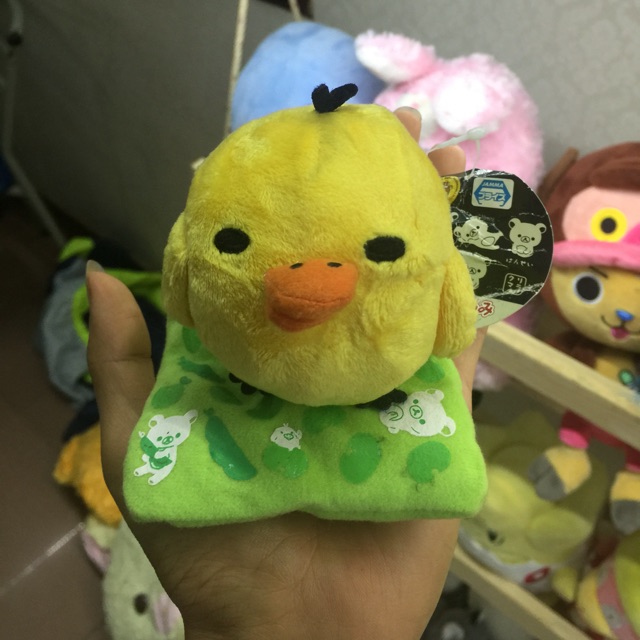 Gấu DT