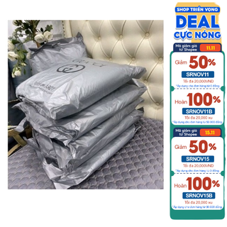 2 chiếc ruột gối kháng khuẩn cao cấp shop chiếu cao su