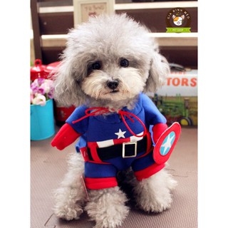 Áo chó mèo cosplay Captain A54