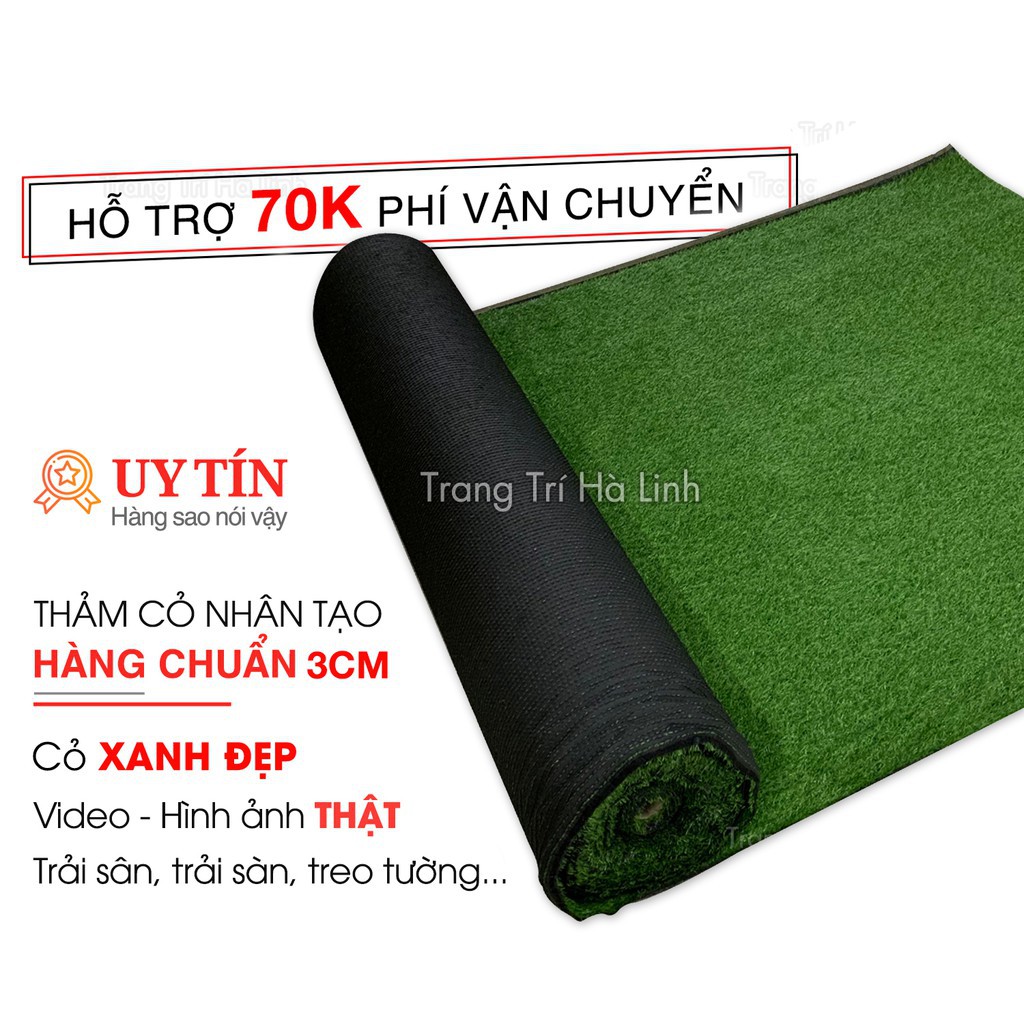 [BÁN CHẠY] Thảm Cỏ Nhân Tạo Trải Sàn 3cm Hàng Chuẩn Trang Trí Sân Vườn, Ban Công Trong Nhà