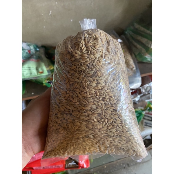 Lúa cho chim cu gáy 700gr