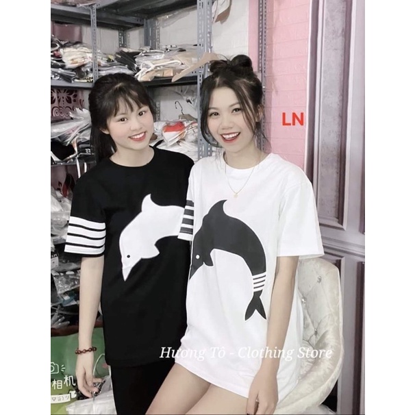 Áo phông ba vạch cá LN11