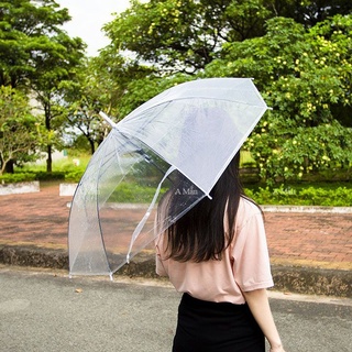 Ô Dù Đi Mưa Trắng Trong Suốt Đi Du Lịch Che Nắng,Che Mưa Chụp Ảnh Tự Sướng