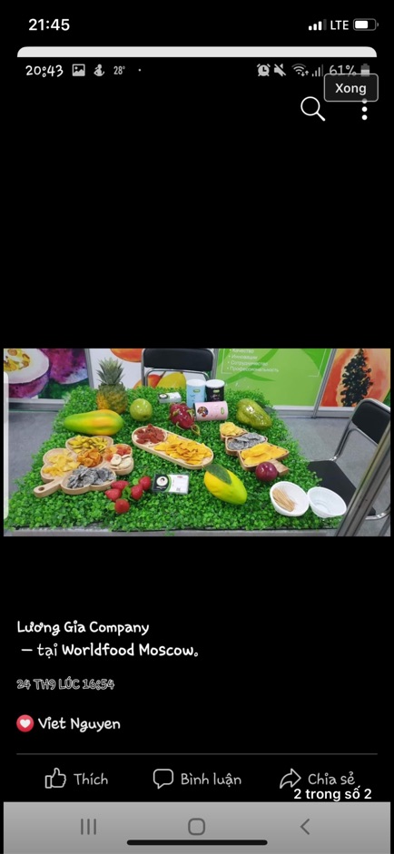Khay gỗ hình cây thông | BigBuy360 - bigbuy360.vn