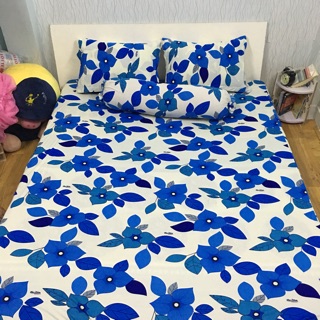 Drap thun Hàn Quốc