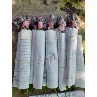 combo 11 cây loại 25k